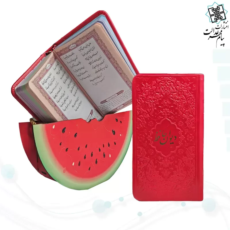 حافظ پالتویی چرم با ساک طرح هندوانه