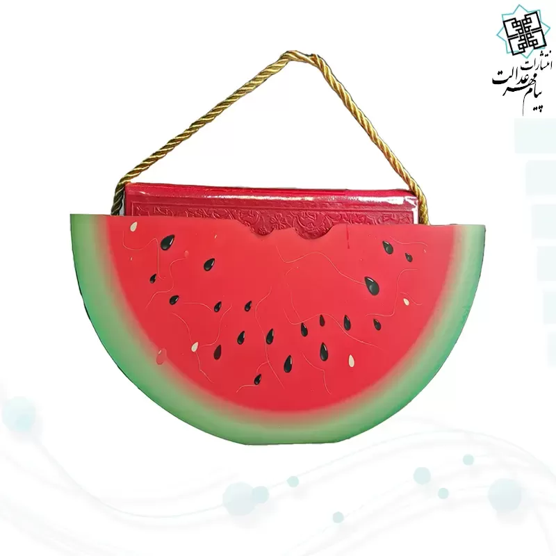 حافظ پالتویی چرم با ساک طرح هندوانه