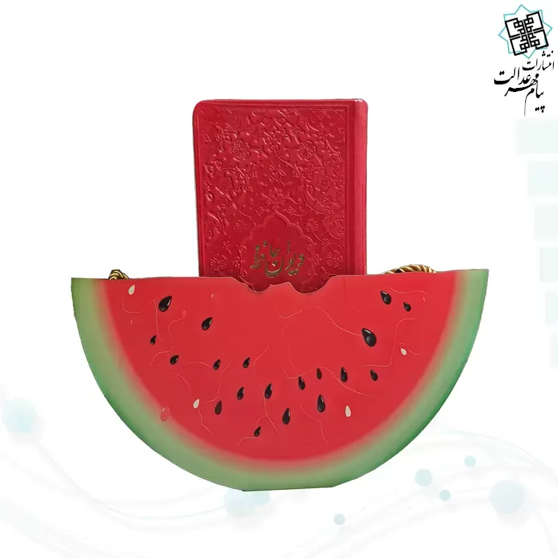 حافظ پالتویی چرم با ساک طرح هندوانه