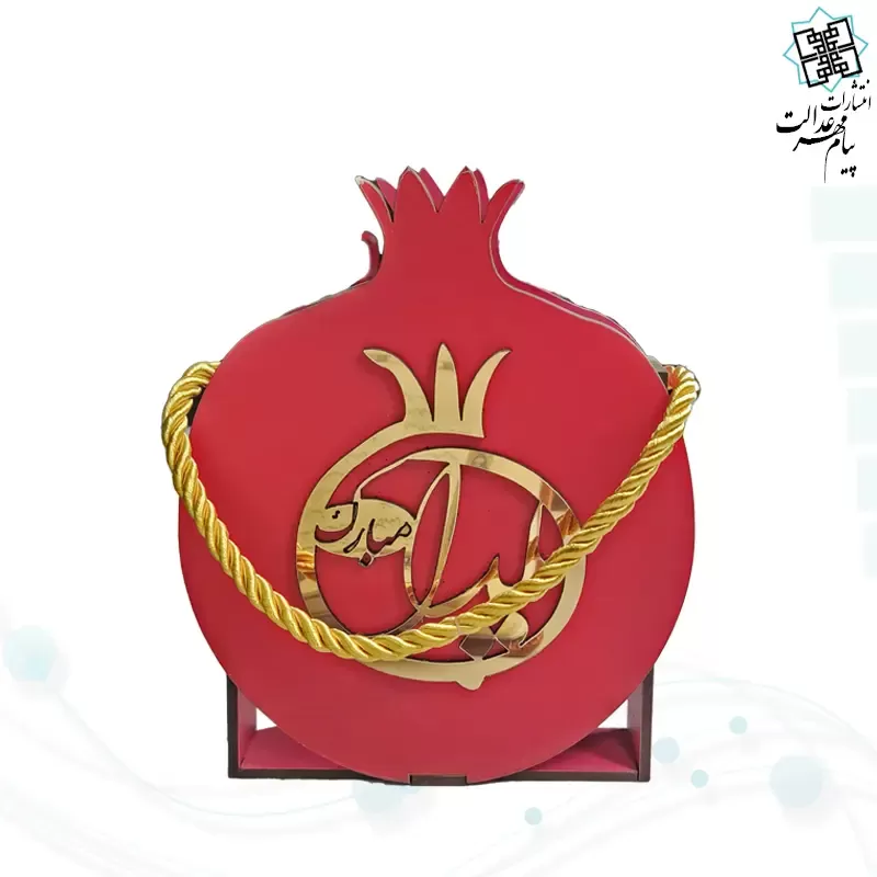 حافظ پالتویی چرم با ساک طرح انار
