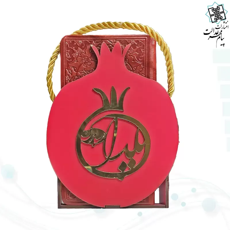 حافظ پالتویی چرم با ساک طرح انار