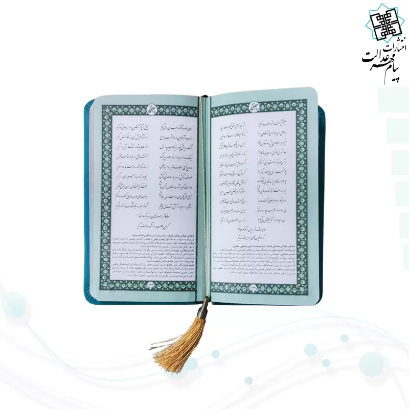 حافظ پالتویی داخل رنگی چرم
