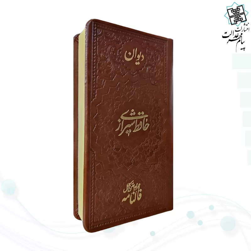 حافظ پالتویی چرم