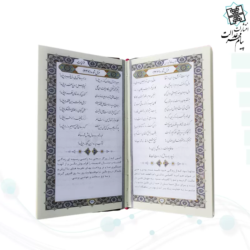 حافظ پالتویی چرم