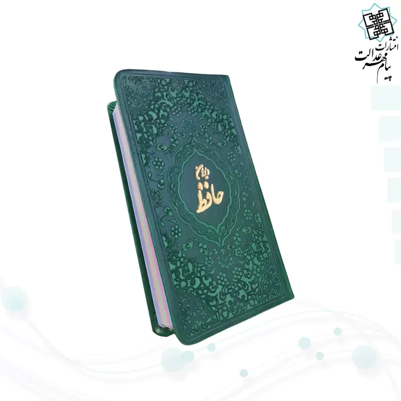 حافظ پالتویی داخل رنگی چرم