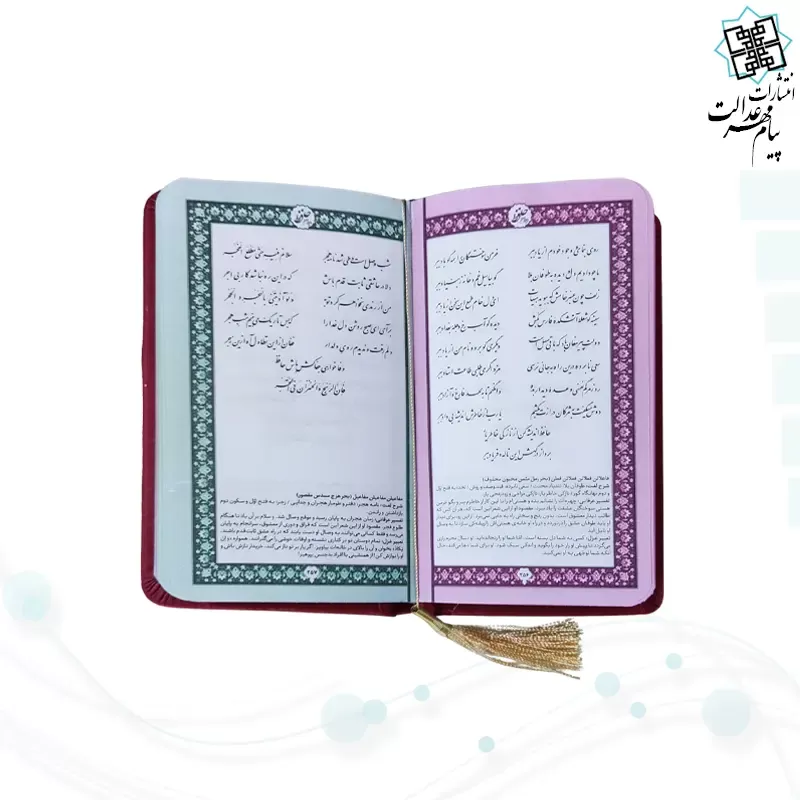 حافظ پالتویی داخل رنگی چرم با جعبه جدید