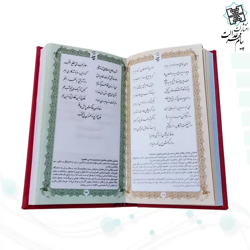 حافظ پالتویی داخل رنگی چرم