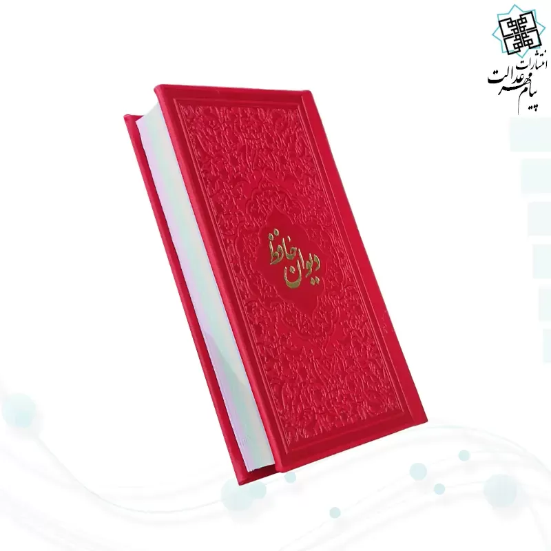 حافظ پالتویی داخل رنگی چرم