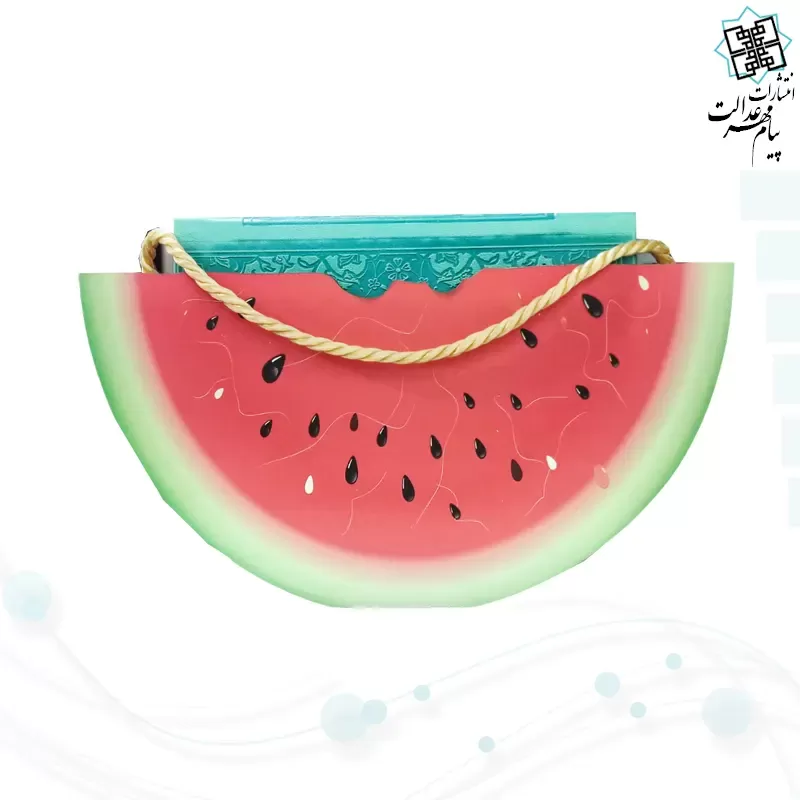 حافظ پالتویی چرم با ساک طرح هندوانه