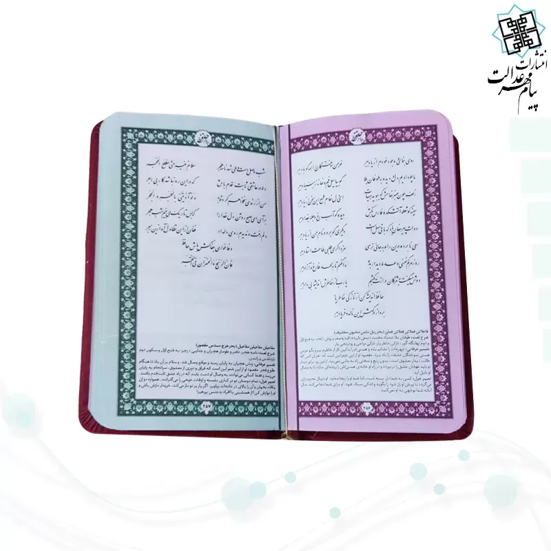 حافظ پالتویی چرم با ساک طرح هندوانه