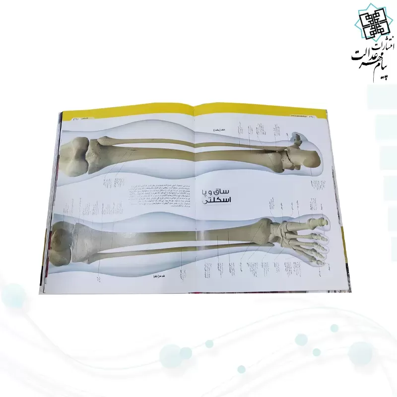 دایره المعارف مصور بدن انسان رحلی سلفون