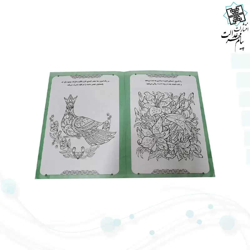 رنگ آمیزی بزرگسالان شومیز